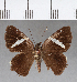  ( - CFC08495)  @13 [ ] Copyright (2018) Christer Fahraeus Center For Collection-Based Research