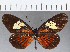 ( - CFC08548)  @13 [ ] Copyright (2019) Christer Fahraeus Center For Collection-Based Research