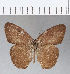  ( - CFC00857)  @11 [ ] Copyright (2018) Christer Fahraeus Center For Collection-Based Research