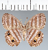  ( - CFC00859)  @11 [ ] copyright (2022) Center For Collection-Based Research Center For Collection-Based Research
