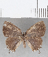  ( - CFC08651)  @11 [ ] Copyright (2019) Christer Fahraeus Center For Collection-Based Research