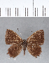  ( - CFC08656)  @11 [ ] Copyright (2018) Christer Fahraeus Center For Collection-Based Research