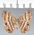  ( - CFC08693)  @11 [ ] copyright (2022) Center For Collection-Based Research Center For Collection-Based Research
