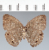  ( - CFC08764)  @11 [ ] copyright (2022) Center For Collection-Based Research Center For Collection-Based Research