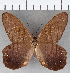  ( - CFC08793)  @11 [ ] Copyright (2019) Christer Fahraeus Center For Collection-Based Research