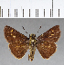  ( - CFC08901)  @11 [ ] Copyright (2018) Christer Fahraeus Center For Collection-Based Research