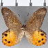  ( - CFC09031)  @11 [ ] Copyright (2019) Christer Fahraeus Center For Collection-Based Research