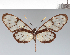  ( - CFC09117)  @11 [ ] copyright (2022) Center For Collection-Based Research Center For Collection-Based Research