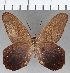  ( - CFC09126)  @11 [ ] Copyright (2019) Christer Fahraeus Center For Collection-Based Research