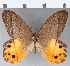  ( - CFC09129)  @11 [ ] Copyright (2019) Christer Fahraeus Center For Collection-Based Research