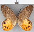  ( - CFC09139)  @11 [ ] Copyright (2019) Christer Fahraeus Center For Collection-Based Research