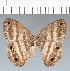  ( - CFC09193)  @11 [ ] copyright (2022) Center For Collection-Based Research Center For Collection-Based Research