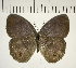  ( - CFC09224)  @13 [ ] Copyright (2018) Christer Fahraeus Center For Collection-Based Research