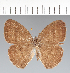  ( - CFC09246)  @11 [ ] copyright (2022) Center For Collection-Based Research Center For Collection-Based Research