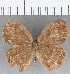  ( - CFC09247)  @11 [ ] copyright (2020) Christer Fahraeus Center For Collection-Based Research