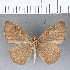  ( - CFC09402)  @11 [ ] Copyright (2018) Christer Fahraeus Center For Collection-Based Research