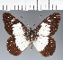  ( - CFC09428)  @11 [ ] copyright (2023) Center For Collection-Based Research Center For Collection-Based Research