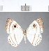  ( - CFC09448)  @11 [ ] Copyright (2018) Christer Fahraeus Center For Collection-Based Research