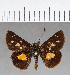  ( - CFC09491)  @11 [ ] Copyright (2018) Christer Fahraeus Center For Collection-Based Research