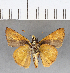  ( - CFC09861)  @11 [ ] Copyright (2018) Christer Fahraeus Center For Collection-Based Research