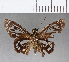  ( - CFC09878)  @13 [ ] Copyright (2018) Christer Fahraeus Center For Collection-Based Research