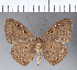  ( - CFC09912)  @11 [ ] Copyright (2018) Christer Fahraeus Center For Collection-Based Research