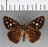  ( - CFC09969)  @11 [ ] Copyright (2018) Christer Fahraeus Center For Collection-Based Research