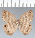  ( - CFC09989)  @11 [ ] copyright (2022) Center For Collection-Based Research Center For Collection-Based Research