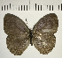  ( - CFC09991)  @11 [ ] Copyright (2018) Christer Fahraeus Center For Collection-Based Research