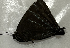  ( - CFCA05812)  @11 [ ] copyright (2023) Center For Collection-Based Research Center For Collection-Based Research