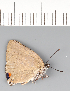  ( - CFCA01827)  @11 [ ] copyright (2022) Center For Collection-Based Research Center For Collection-Based Research