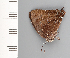  ( - CFCA01863)  @11 [ ] copyright (2022) Center For Collection-Based Research Center For Collection-Based Research