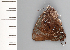  ( - CFCA01869)  @11 [ ] copyright (2022) Center For Collection-Based Research Center For Collection-Based Research