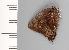  ( - CFCA01873)  @11 [ ] copyright (2022) Center For Collection-Based Research Center For Collection-Based Research
