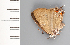  ( - CFCA01901)  @11 [ ] copyright (2022) Center For Collection-Based Research Center For Collection-Based Research