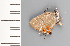  ( - CFCA01911)  @11 [ ] copyright (2022) Center For Collection-Based Research Center For Collection-Based Research