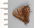  ( - CFCA01923)  @11 [ ] copyright (2022) Center For Collection-Based Research Center For Collection-Based Research