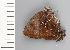  ( - CFCA01925)  @11 [ ] copyright (2022) Center For Collection-Based Research Center For Collection-Based Research