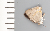  ( - CFCA01963)  @11 [ ] copyright (2022) Center For Collection-Based Research Center For Collection-Based Research