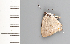  ( - CFCA01964)  @11 [ ] copyright (2022) Center For Collection-Based Research Center For Collection-Based Research