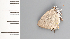  ( - CFCA01965)  @11 [ ] copyright (2022) Center For Collection-Based Research Center For Collection-Based Research