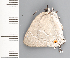  ( - CFCA01973)  @11 [ ] copyright (2022) Center For Collection-Based Research Center For Collection-Based Research