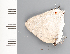  ( - CFCA01974)  @11 [ ] copyright (2022) Center For Collection-Based Research Center For Collection-Based Research