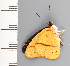  ( - CFCA02098)  @11 [ ] copyright (2022) Center For Collection-Based Research Center For Collection-Based Research
