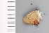  ( - CFCA02121)  @11 [ ] copyright (2022) Center For Collection-Based Research Center For Collection-Based Research