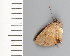 ( - CFCA02122)  @11 [ ] copyright (2022) Center For Collection-Based Research Center For Collection-Based Research
