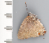  ( - CFCA02135)  @11 [ ] copyright (2022) Center For Collection-Based Research Center For Collection-Based Research