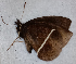  ( - CEP-DNA6624)  @11 [ ] by-nc-sa (2024) MZUJ Jagiellonian University, Nature Education Centre