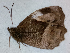  ( - CEP-DNA6670)  @11 [ ] by-nc-sa (2024) MZUJ Jagiellonian University, Nature Education Centre