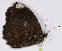  ( - CEP-DNA7030)  @11 [ ] by-nc-sa (2024) MZUJ Jagiellonian University, Nature Education Centre